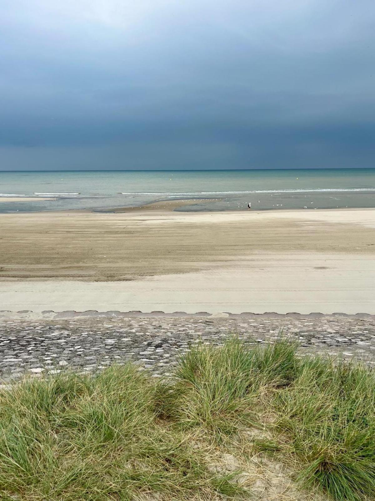L Oree De La Pinede Hardelot Plage A 800 Metres De La Mer Sous Les Pins Esterno foto