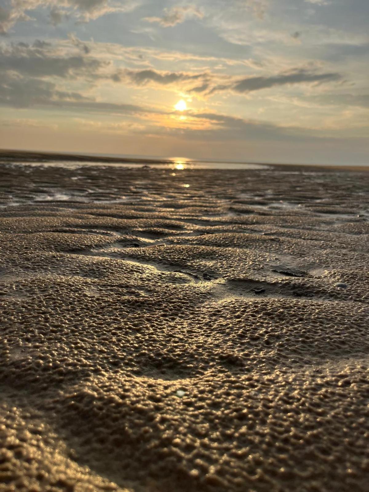 L Oree De La Pinede Hardelot Plage A 800 Metres De La Mer Sous Les Pins Esterno foto
